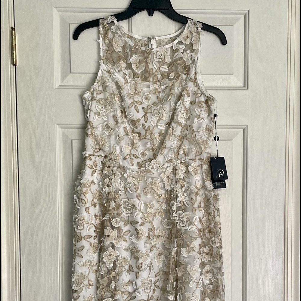 Adrianna Papell 3D lace midi. Fit and flare.